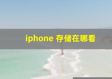 iphone 存储在哪看